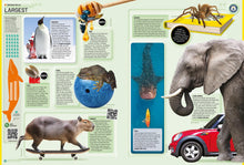 Load image into Gallery viewer, Guinness World Records 2026