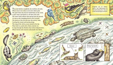 Load image into Gallery viewer, The Wolf Effect: A Wilderness Revival Story