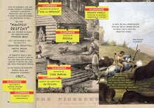 Load image into Gallery viewer, American Redux