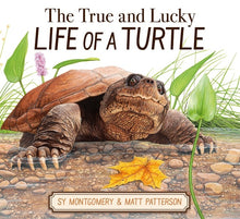 Load image into Gallery viewer, The True and Lucky Life of a Turtle