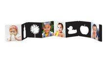 Load image into Gallery viewer, Black & White in Color
