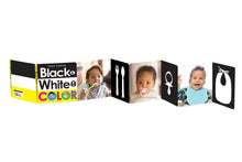 Load image into Gallery viewer, Black & White in Color