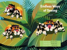 Load image into Gallery viewer, An Immense World (Young Reader's Edition)