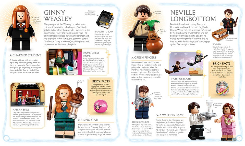 LEGO® Harry Potter™ Visual Dictionary