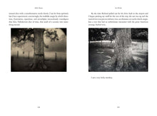 Load image into Gallery viewer, Art Work: On the Creative Life