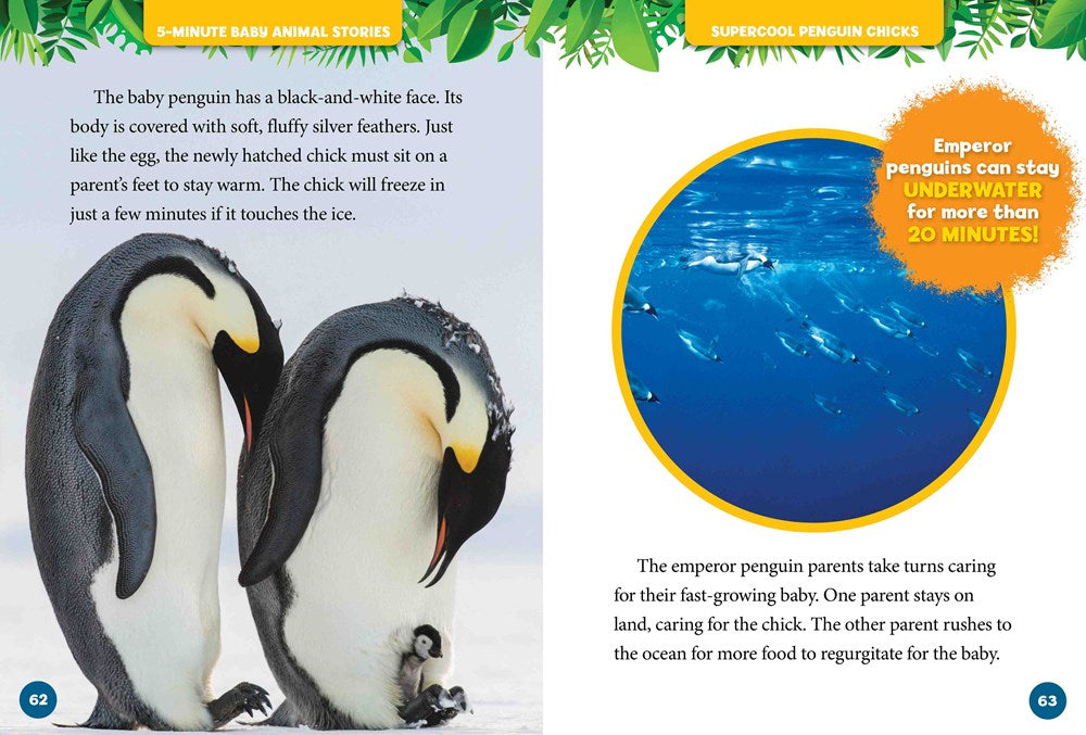 5-Minute Baby Animal Stories – AESOP'S FABLE