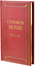 Load image into Gallery viewer, Common Sense