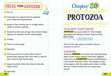 Load image into Gallery viewer, Everything You Need to Ace Biology in One Big Fat Notebook
