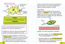 Load image into Gallery viewer, Everything You Need to Ace Biology in One Big Fat Notebook