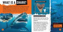 Load image into Gallery viewer, Shark Bites