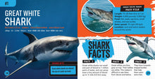 Load image into Gallery viewer, Shark Bites