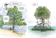 Load image into Gallery viewer, The Hidden Life of Trees: A Graphic Adaptation