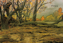 Load image into Gallery viewer, The Hidden Life of Trees: A Graphic Adaptation