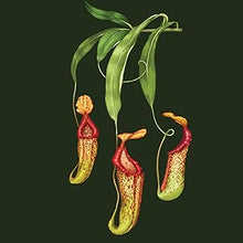Load image into Gallery viewer, Plantopedia
