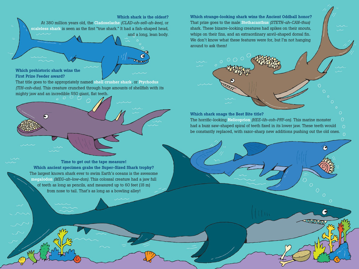 –　AESOP'S　FABLE　About　Questions　100　Sharks