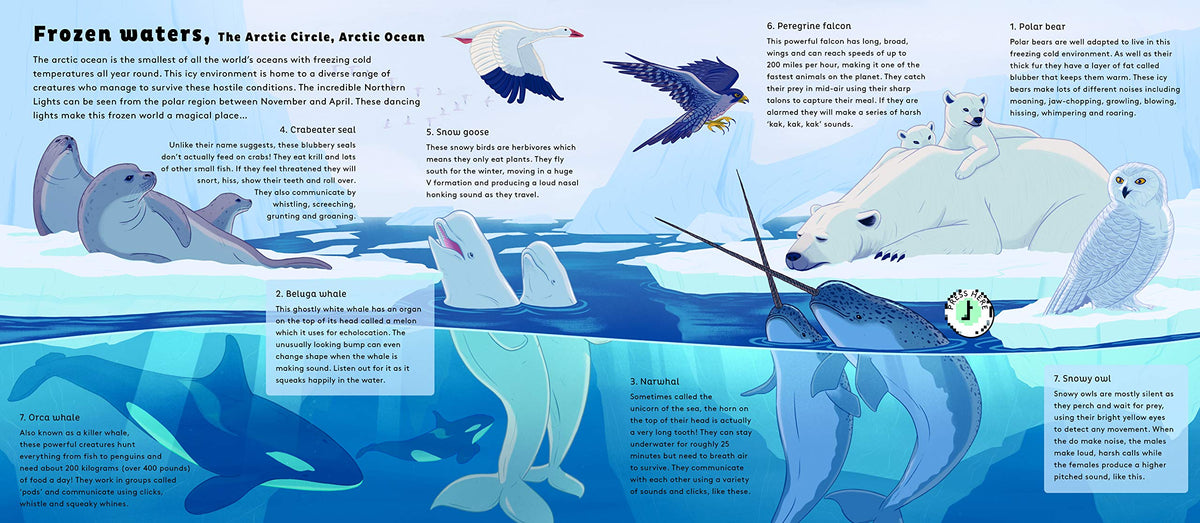 Sounds of Nature: World of Oceans – AESOP'S FABLE