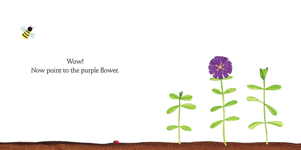 plant a tiny seed Plant the Tiny Seed – AESOP'S FABLE