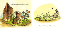 Load image into Gallery viewer, Hush, Little Bunny