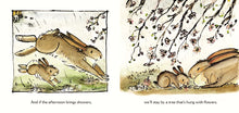 Load image into Gallery viewer, Hush, Little Bunny