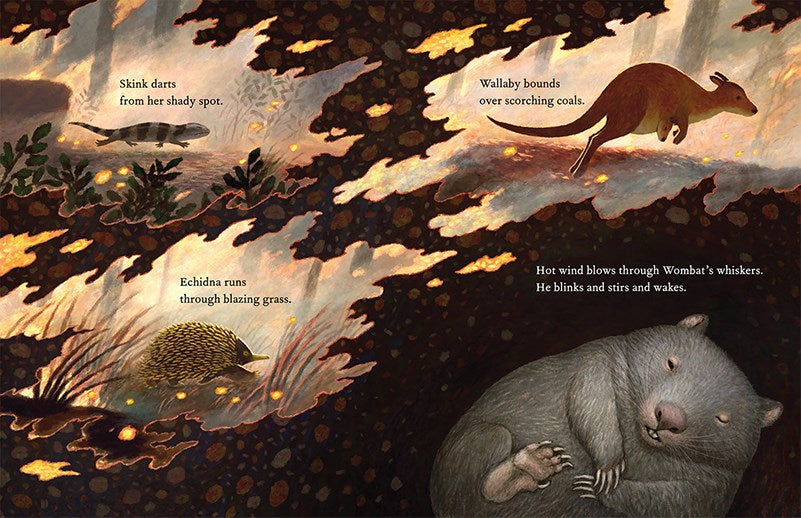 Wombat Undergroud Wombat Undergroud