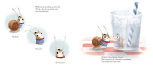 Load image into Gallery viewer, Escargot