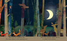 Load image into Gallery viewer, Moon: A Peek-Through Board Book