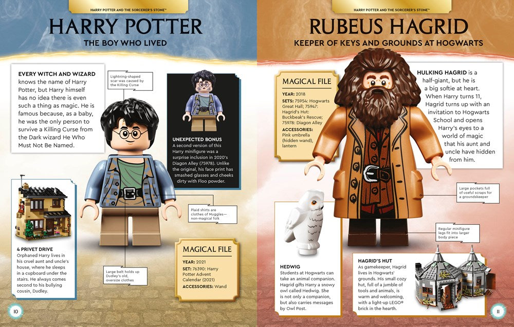 LEGO® Harry Potter™ Character Encyclopedia - Main Image