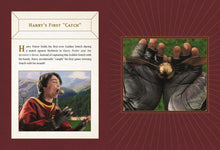 Load image into Gallery viewer, Harry Potter Levitating Golden Snitch