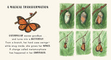 Load image into Gallery viewer, Slow Down . . . on Your Doorstep : Calming Nature Stories for Little Ones