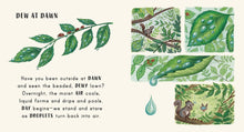 Load image into Gallery viewer, Slow Down . . . on Your Doorstep : Calming Nature Stories for Little Ones
