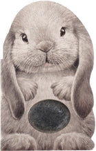 Load image into Gallery viewer, Furry Bunny