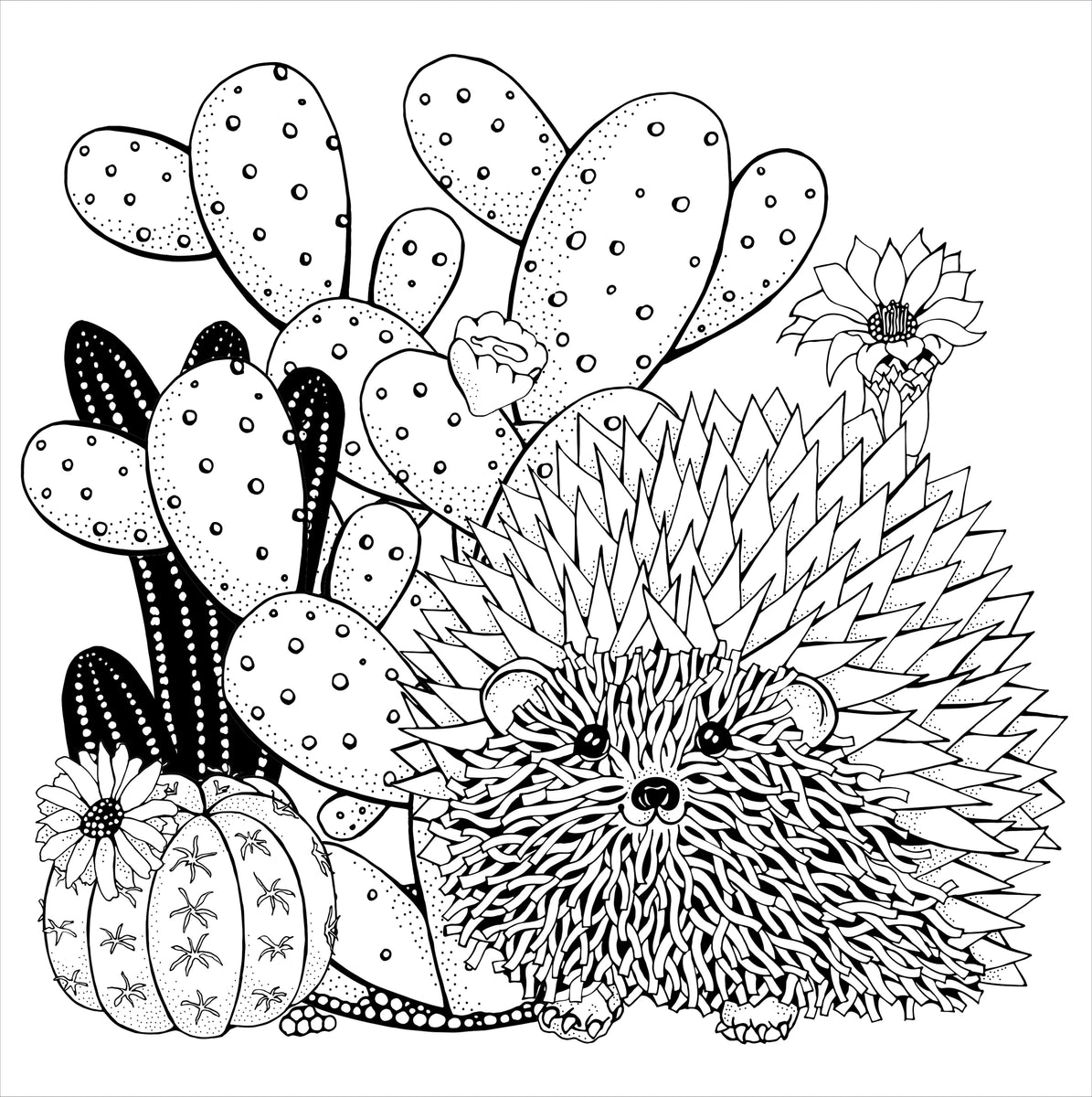 Cactus Coloring For Adults: Mind Relaxing And Calming
