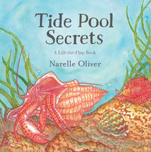Load image into Gallery viewer, Tide Pool Secrets