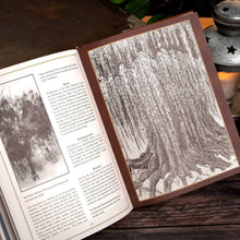 Load image into Gallery viewer, A Dictionary of Tolkien (Deluxe Edition)