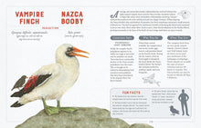 Load image into Gallery viewer, A Curious Collection of Wild Companions: An Illustrated Encyclopedia