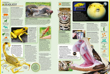 Load image into Gallery viewer, Guinness World Records 2026