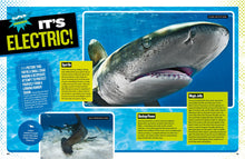 Load image into Gallery viewer, Ultimate Book of Sharks