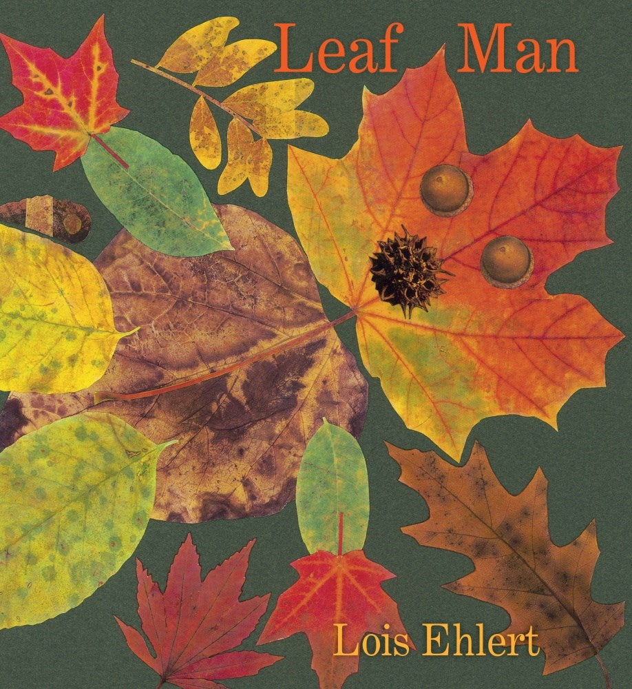 Leaf Man (Board Book)
