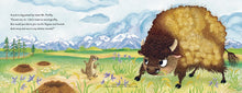 Load image into Gallery viewer, Buffalo Fluffalo