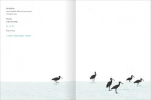 Load image into Gallery viewer, This Wild and Precious Life: A Journal