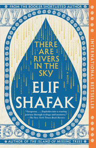 There Are Rivers in the Sky: A Novel