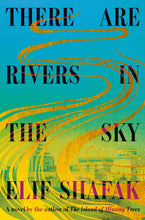 Load image into Gallery viewer, There Are Rivers in the Sky (Signed First Edition)
