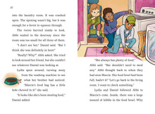 Load image into Gallery viewer, A to Z Animal Mysteries #6: Find That Ferrett!