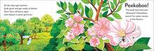 Load image into Gallery viewer, Pop-Up Peekaboo! Tree