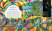 Load image into Gallery viewer, Illumisaurus