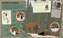 Load image into Gallery viewer, Spin to Survive: Frozen Mountain