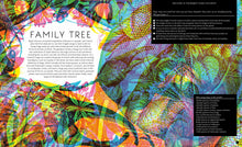 Load image into Gallery viewer, Illumibugs