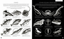 Load image into Gallery viewer, Illuminoceans