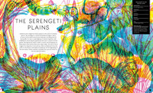 Load image into Gallery viewer, Illumipedia