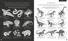 Load image into Gallery viewer, Illumipedia